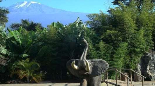 Kilemakyaro Mountain Lodge Moshi Exterior photo
